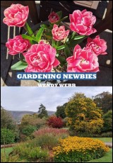 Gardening Newbies